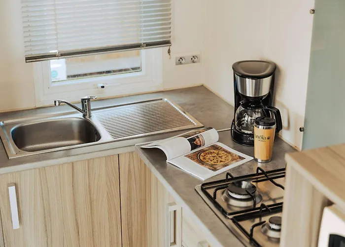 Mobil-home Cosy Avec Terrasse - 2 Doubles - Api-1-52-1466